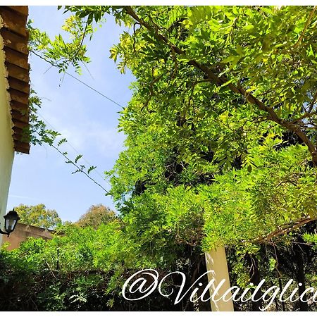 Villa Il Glicine ヴルカーノ エクステリア 写真